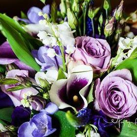 fwthumbweb1 wedding aug 2017 3.jpg